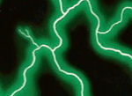 Green Lightning - Do It Yourself Camo Dip Kit